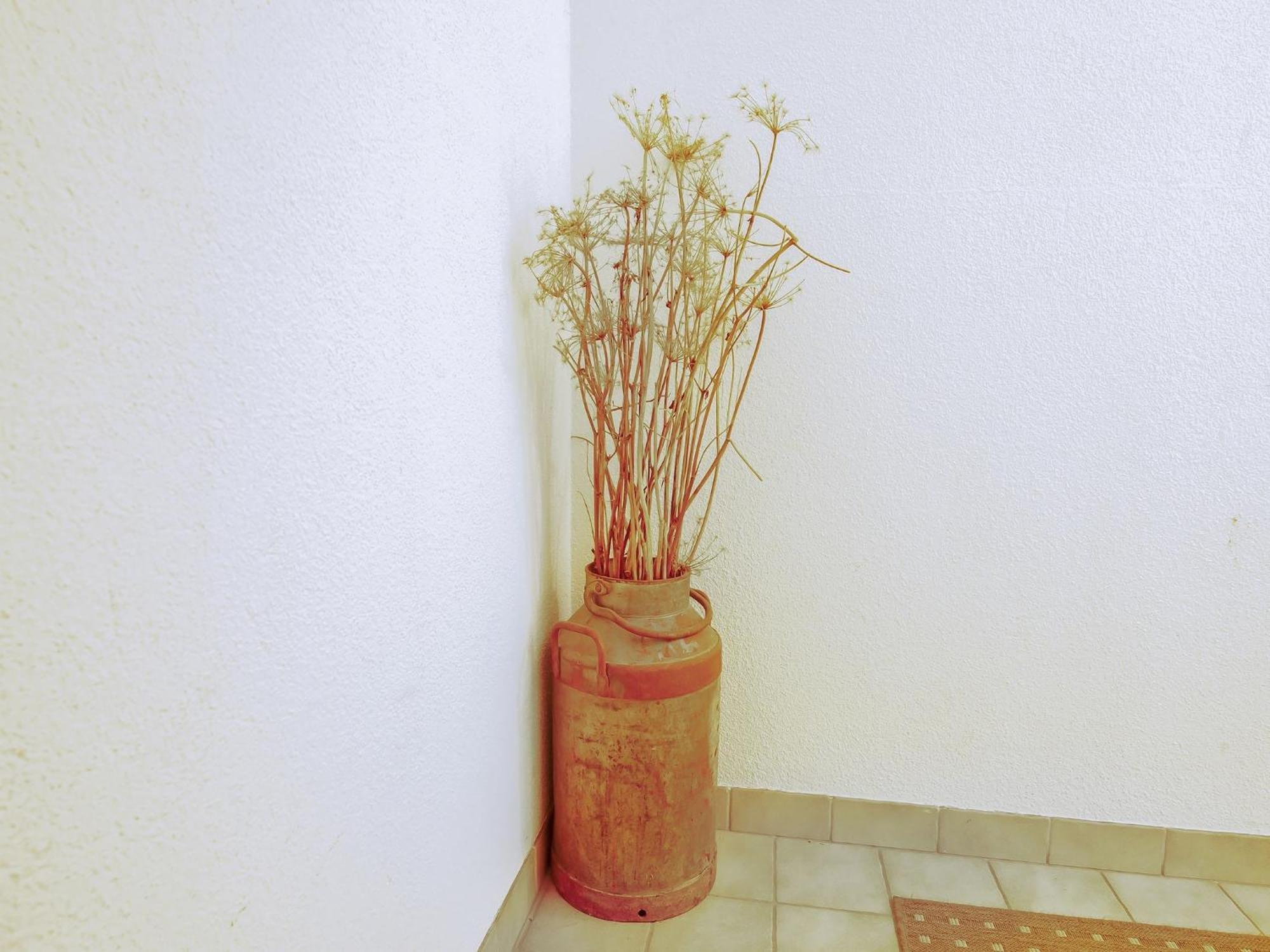 Lovely In Next To Forest * Hainzenberg
