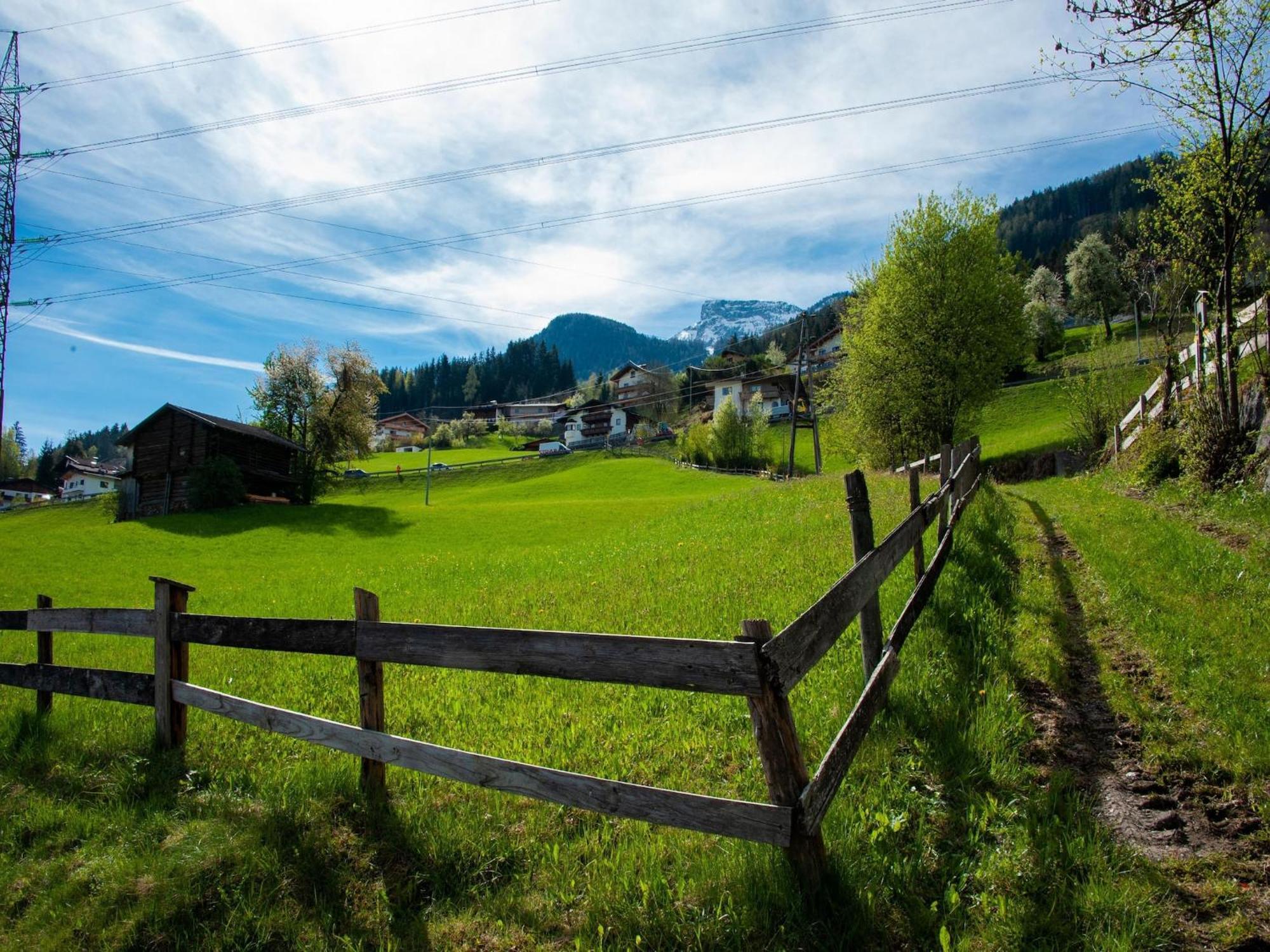 Lovely In Next To Forest * Hainzenberg